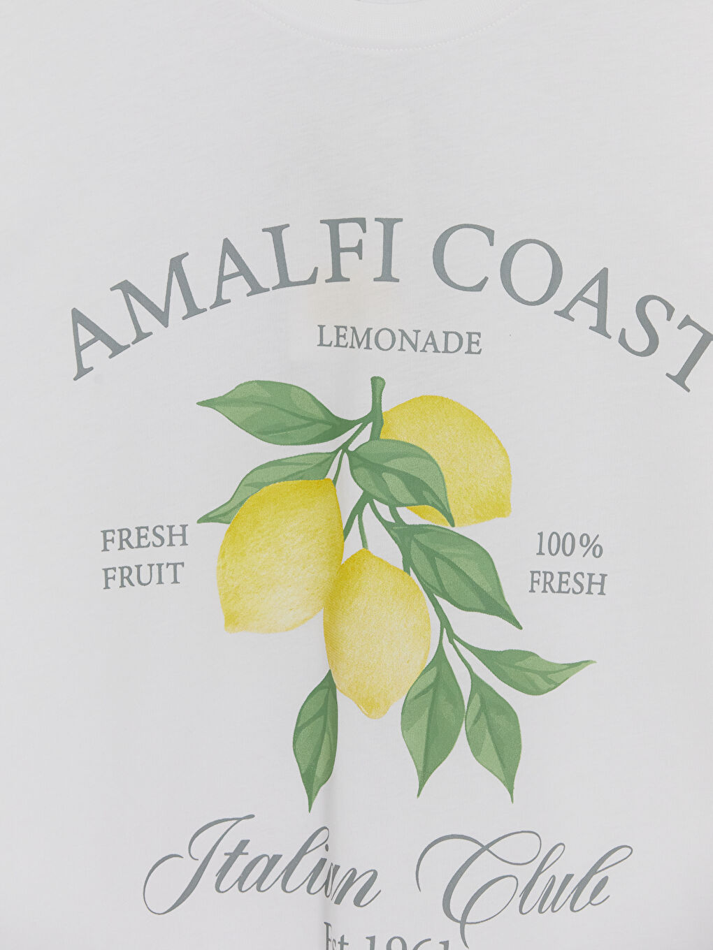 Beyaz Bisiklet Yaka Baskılı Kadın Tişört-2