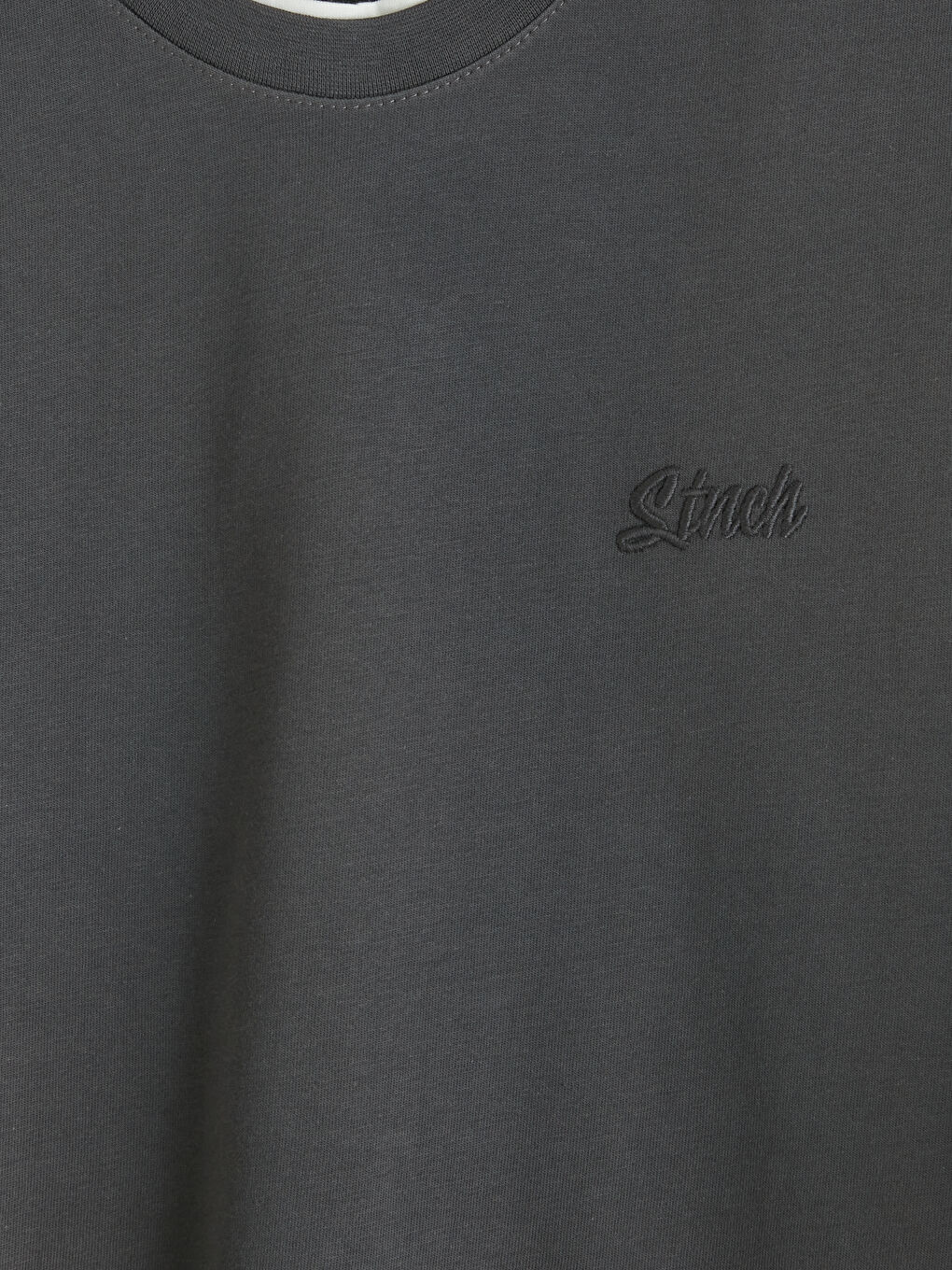 Antrasit Bisiklet Yaka Erkek Tişört-2