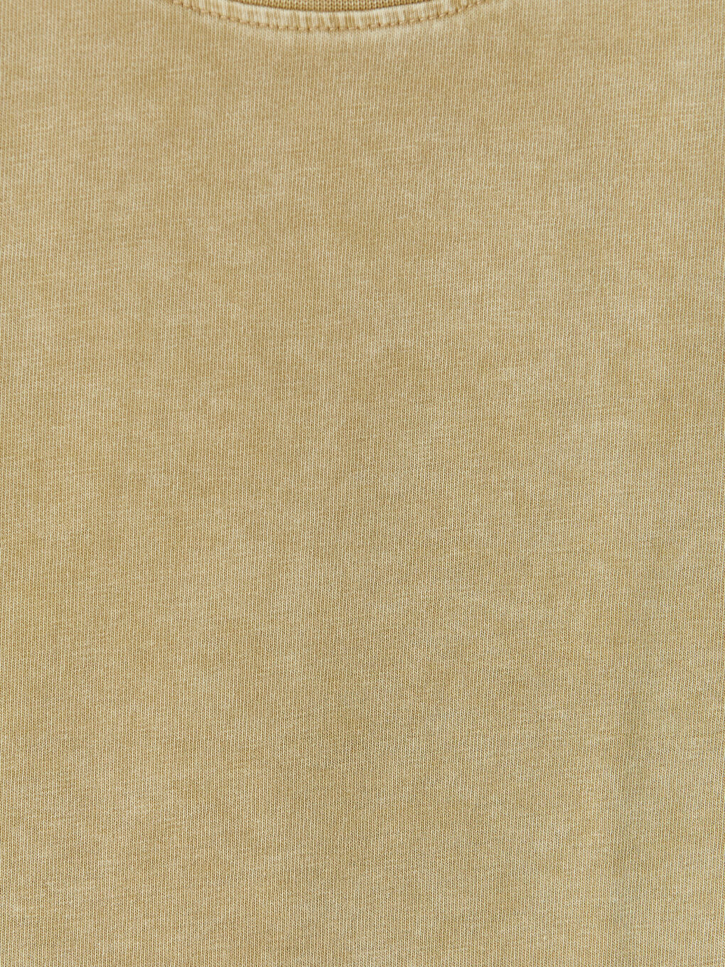 Bej Regular Fit Bisiklet Yaka Yıkamalı Erkek Tişört-2