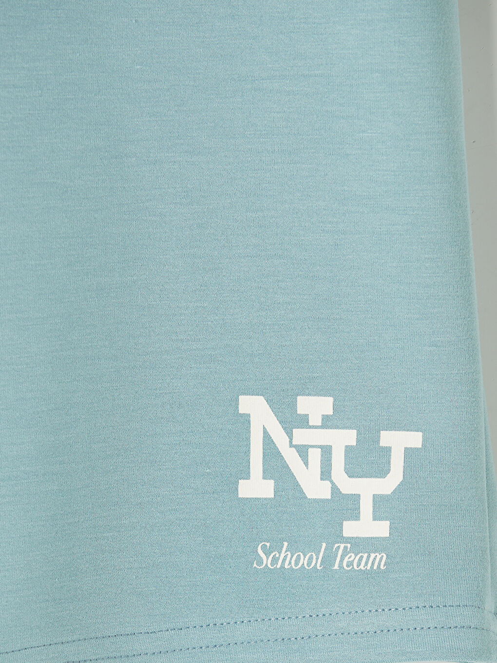 Mavi Baskılı Soft Touch Erkek Çocuk Şort-2