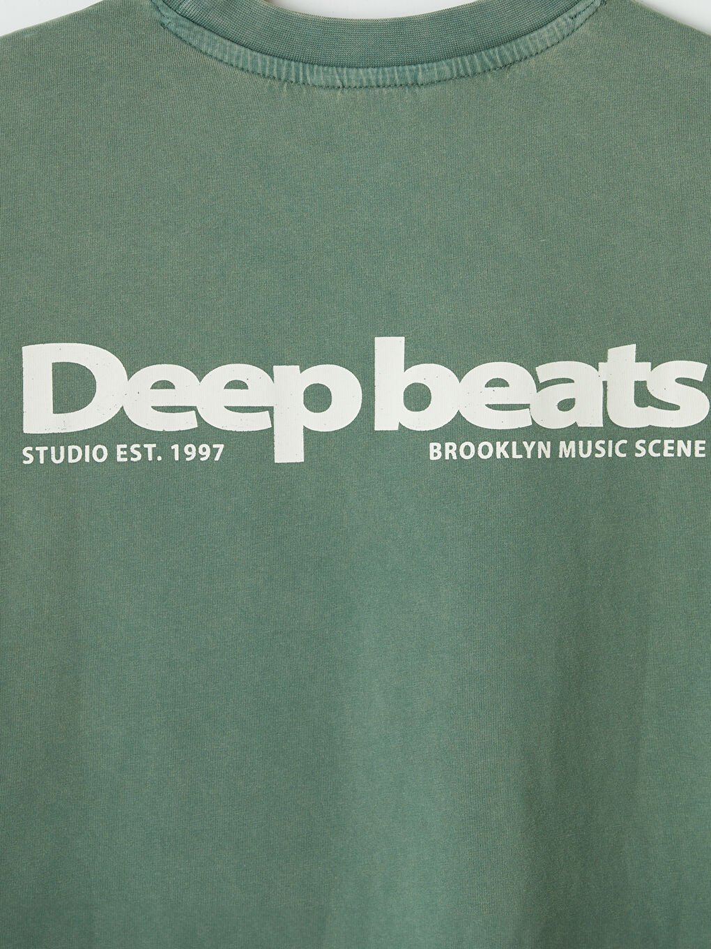 Yeşil Bisiklet Yaka Regular Fit Baskılı Erkek Tişört-3