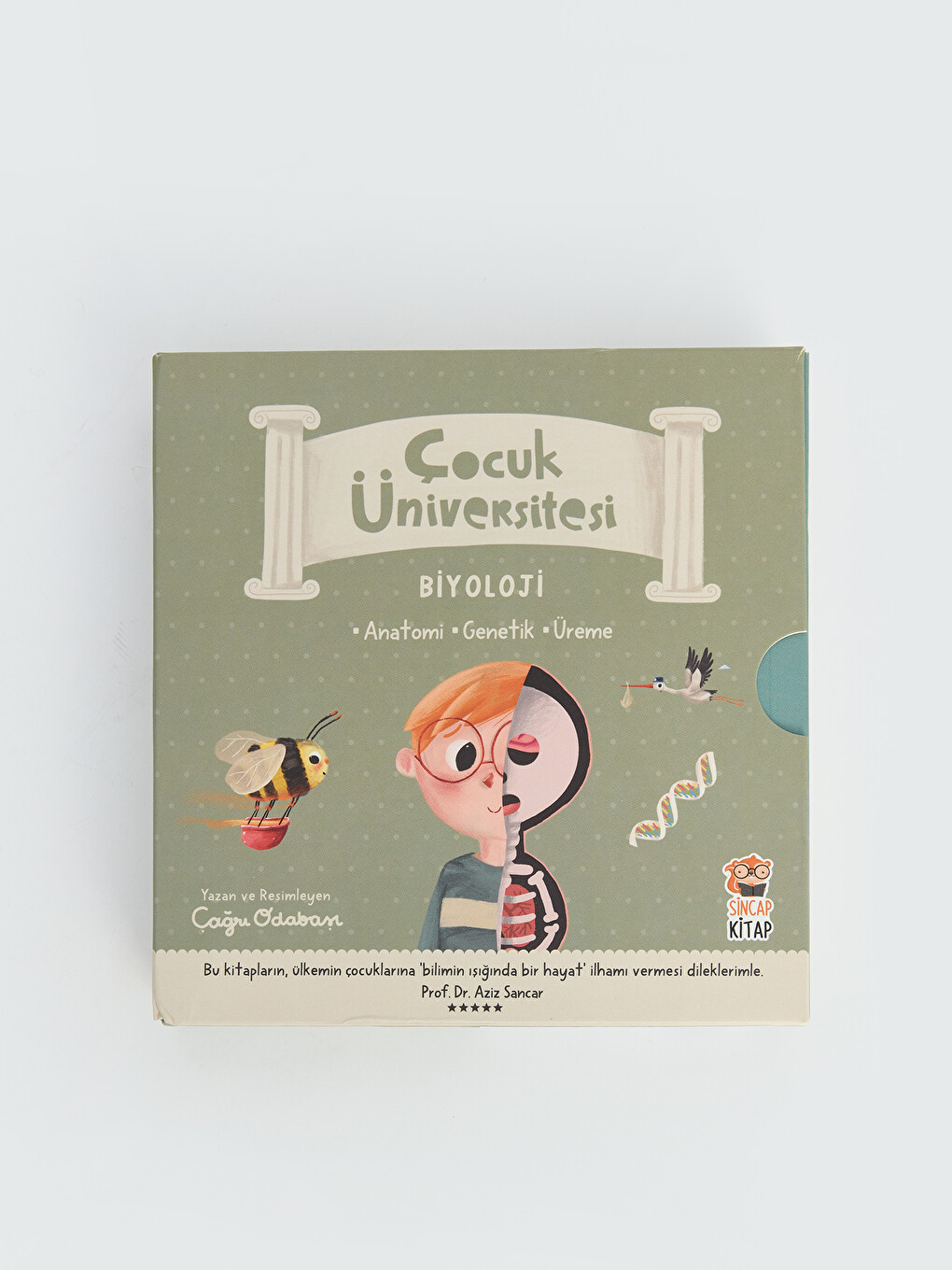 Çocuk Üniversitesi Kitap-6