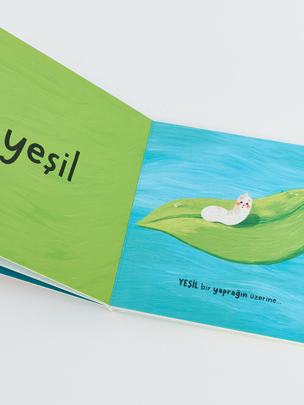 Bebek Üniversitesi Çocuk Kitap-5