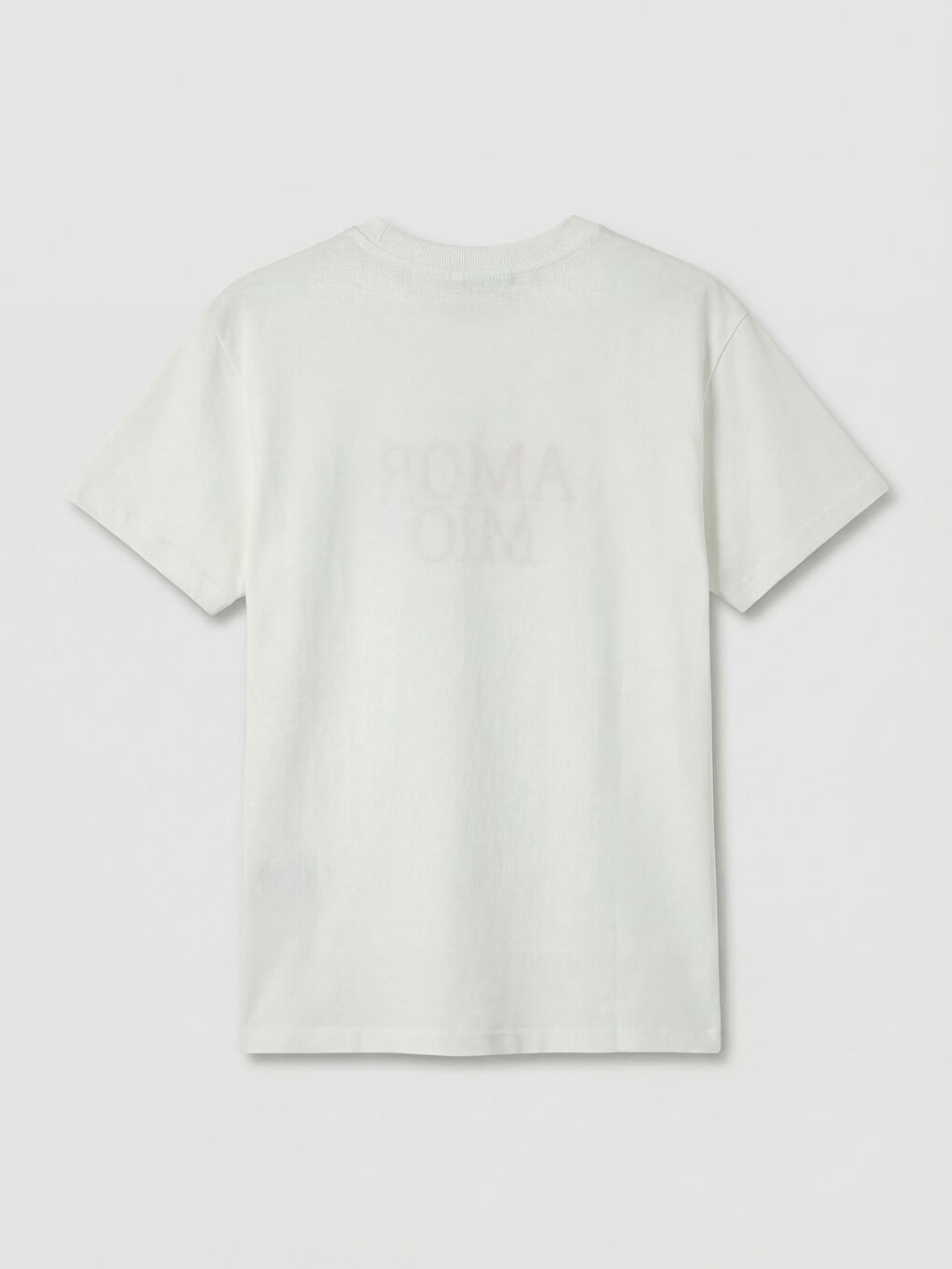 Beyaz Bisiklet Yaka Nakışlı Kadın Tişört-5