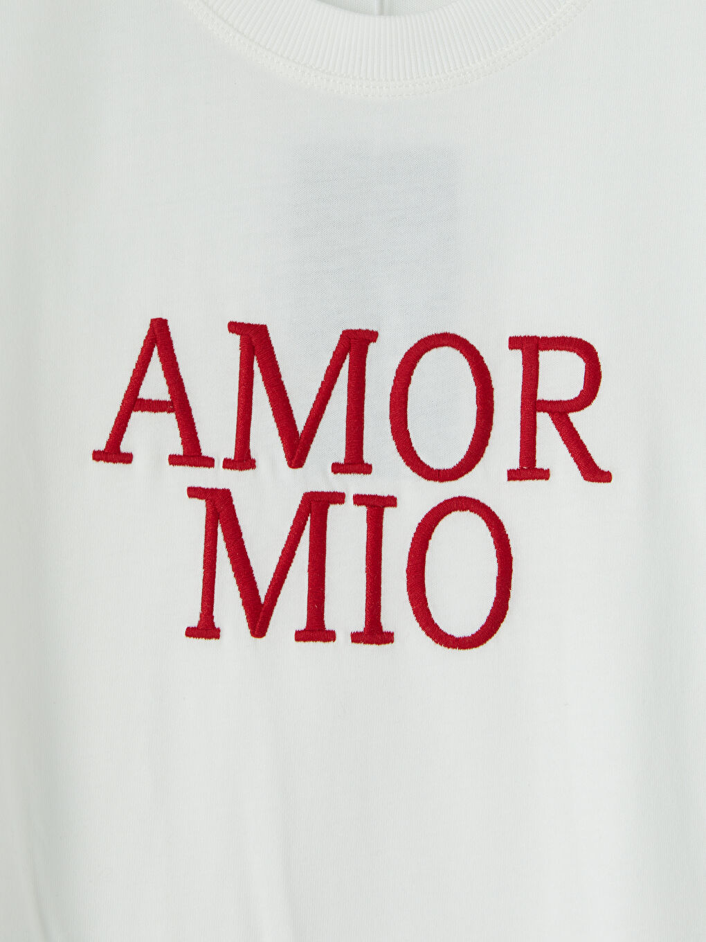 Beyaz Bisiklet Yaka Nakışlı Kadın Tişört-6