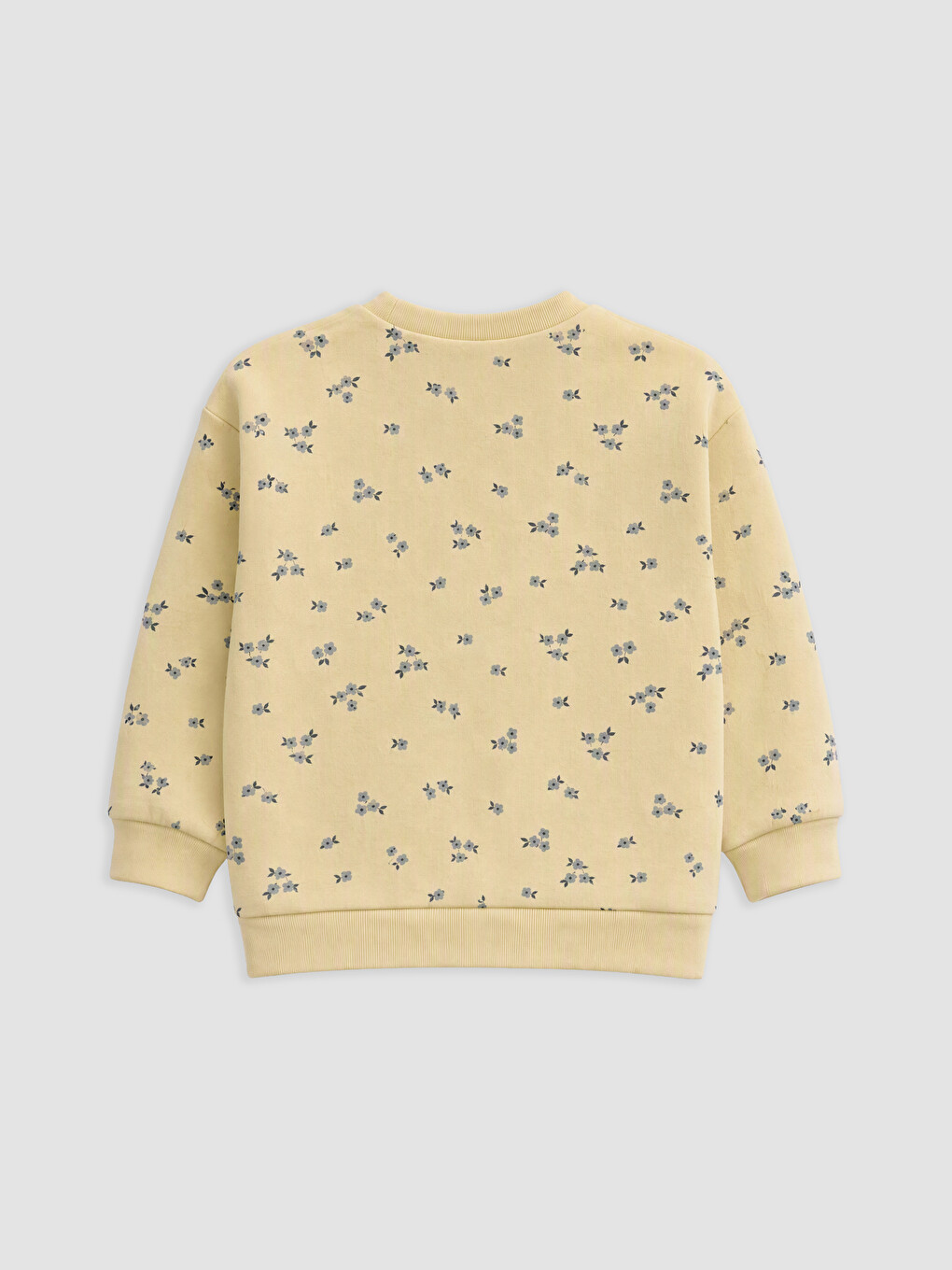 Printed Girls' Thick Sweatshirt-1