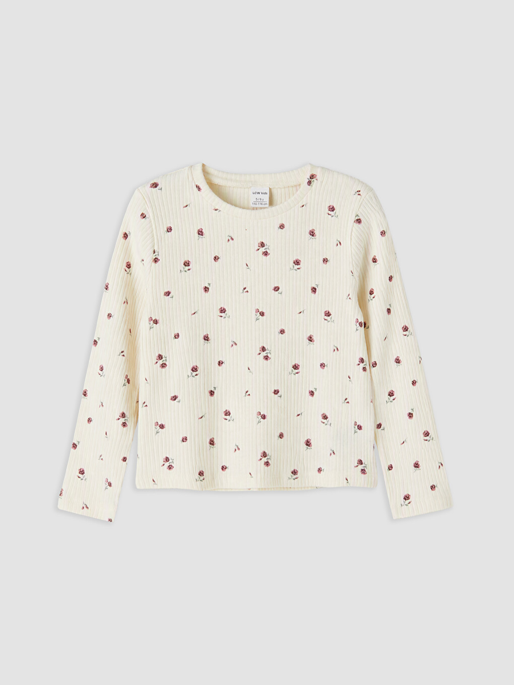 Crew Neck Embroidered Girls' 2 Pack T-shirt-3