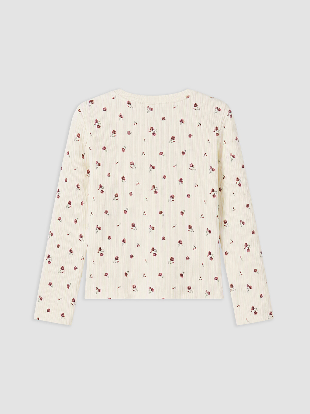 Crew Neck Embroidered Girls' 2 Pack T-shirt-4