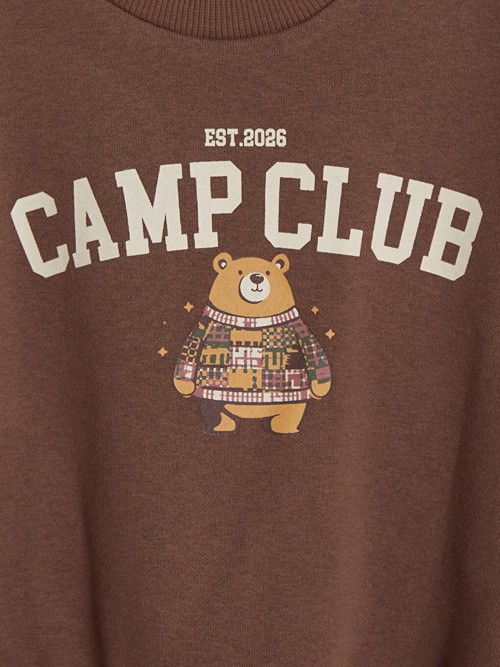 Kahverengi Baskılı Erkek Çocuk Sweatshirt-2