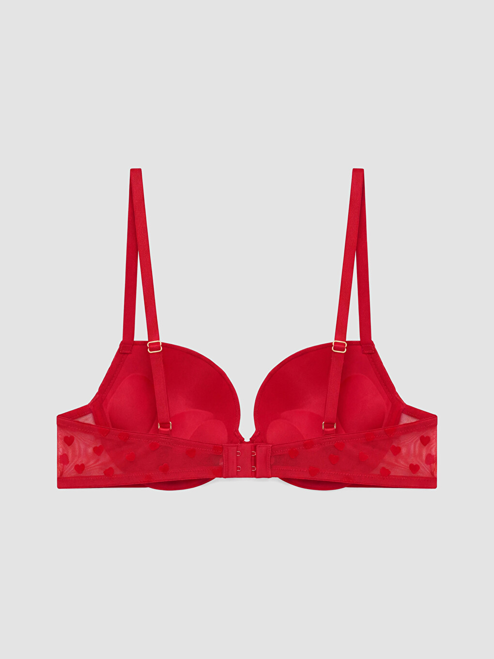 Woman Red Bra-1