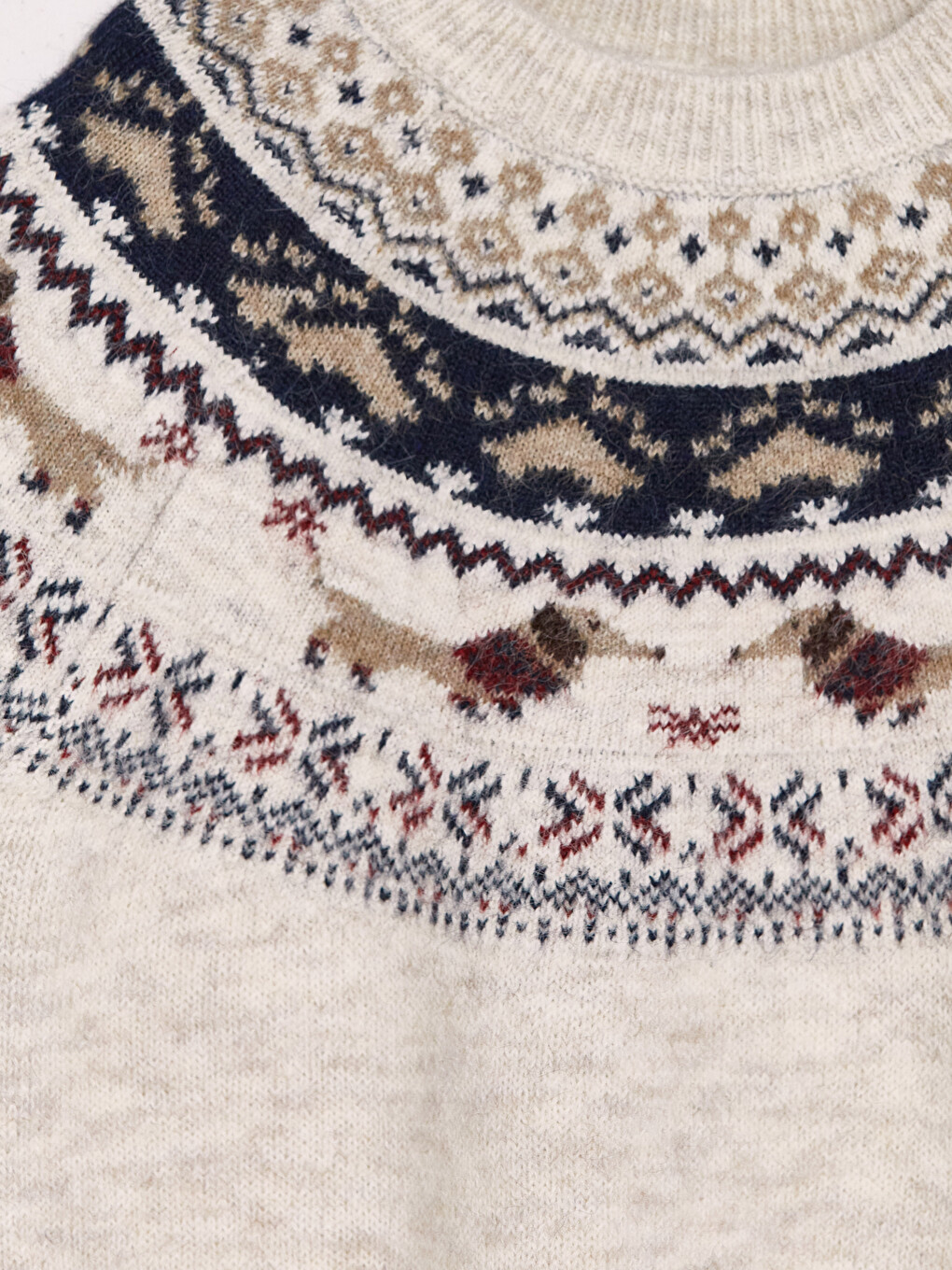 Crew Neck Girls' Printed Knitwear Sweater-2