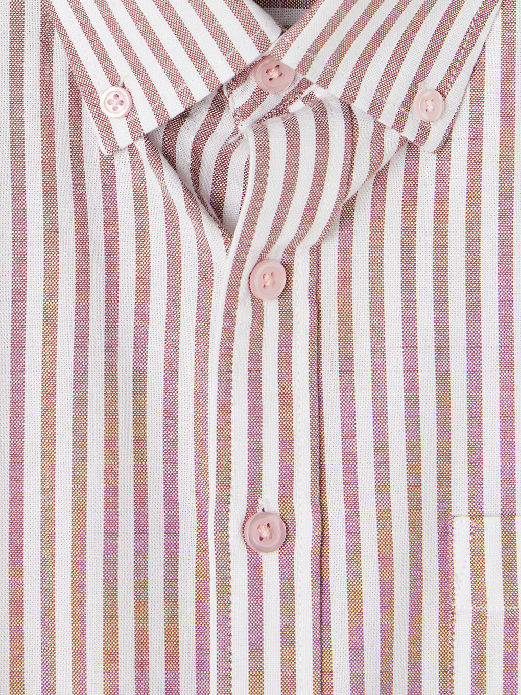 Regular Fit Striped Oxford Men's Shirt-4