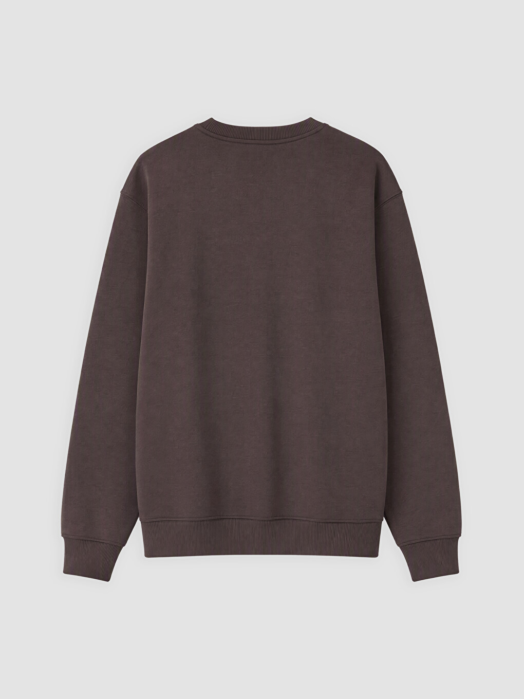 Crew Neck Printed Men's Thick Sweatshirt-1