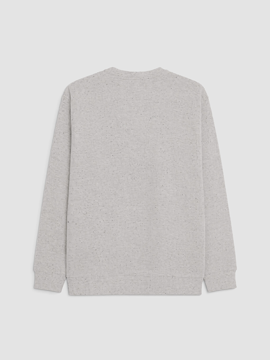 Regular Fit Crew Neck Men's Sweatshirt-5