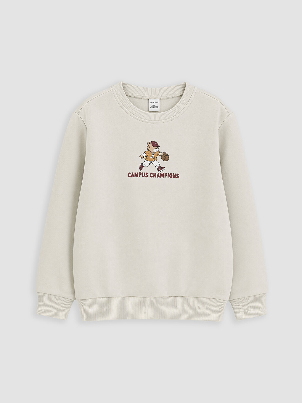 Gri Bisiklet Yaka Baskılı 2'li Erkek Çocuk Kalın Sweatshirt-1