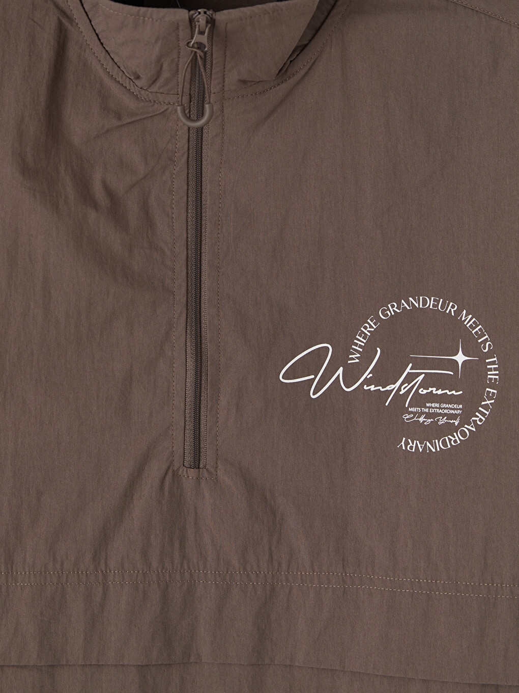 Man Plum Shirt-7