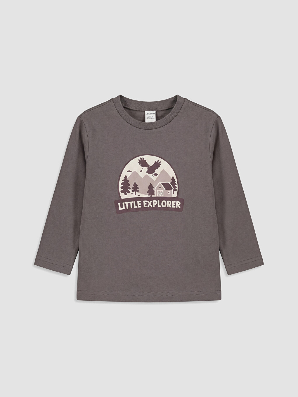 Crew Neck Long Sleeve Printed Boys' T-shirt