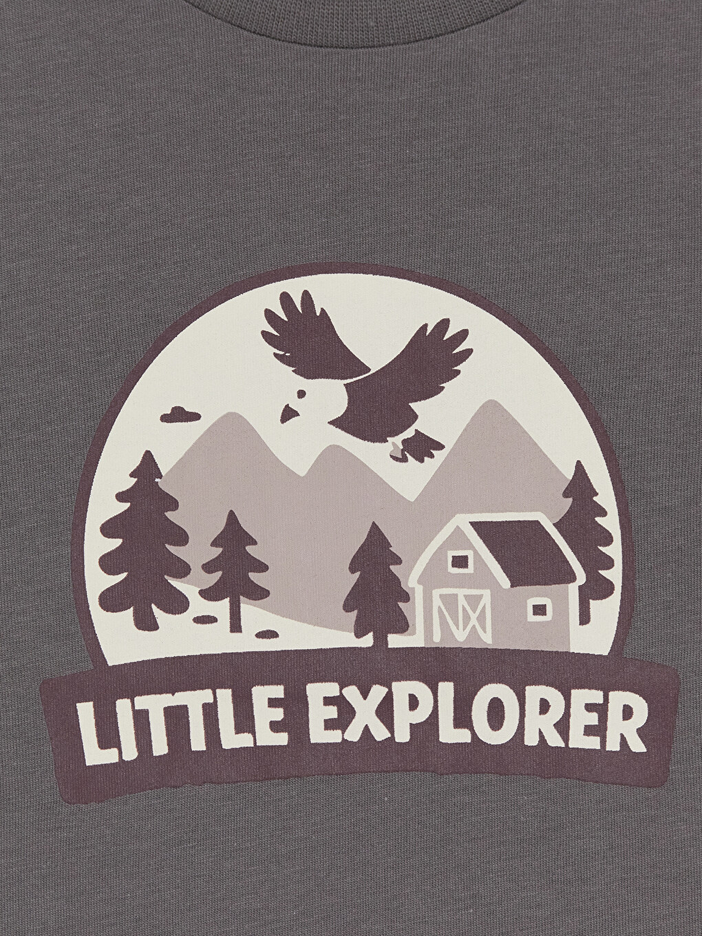 Crew Neck Long Sleeve Printed Boys' T-shirt-1