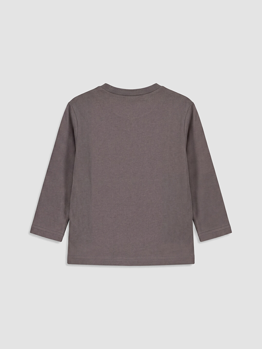 Crew Neck Long Sleeve Printed Boys' T-shirt-2