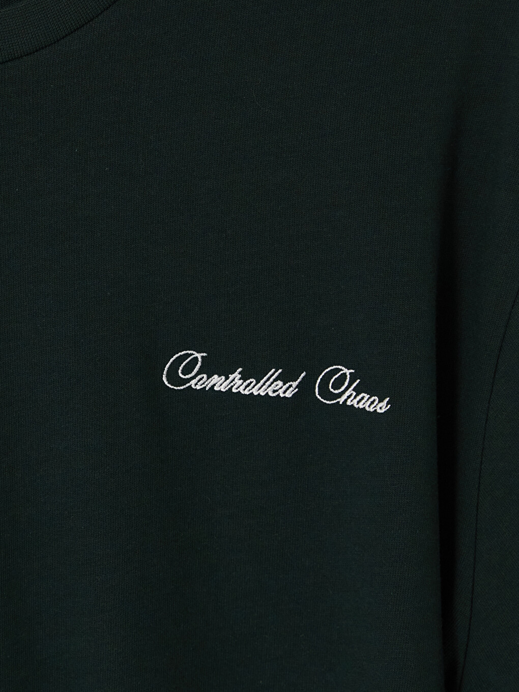 Crew Neck Printed Men's Sweatshirt-1