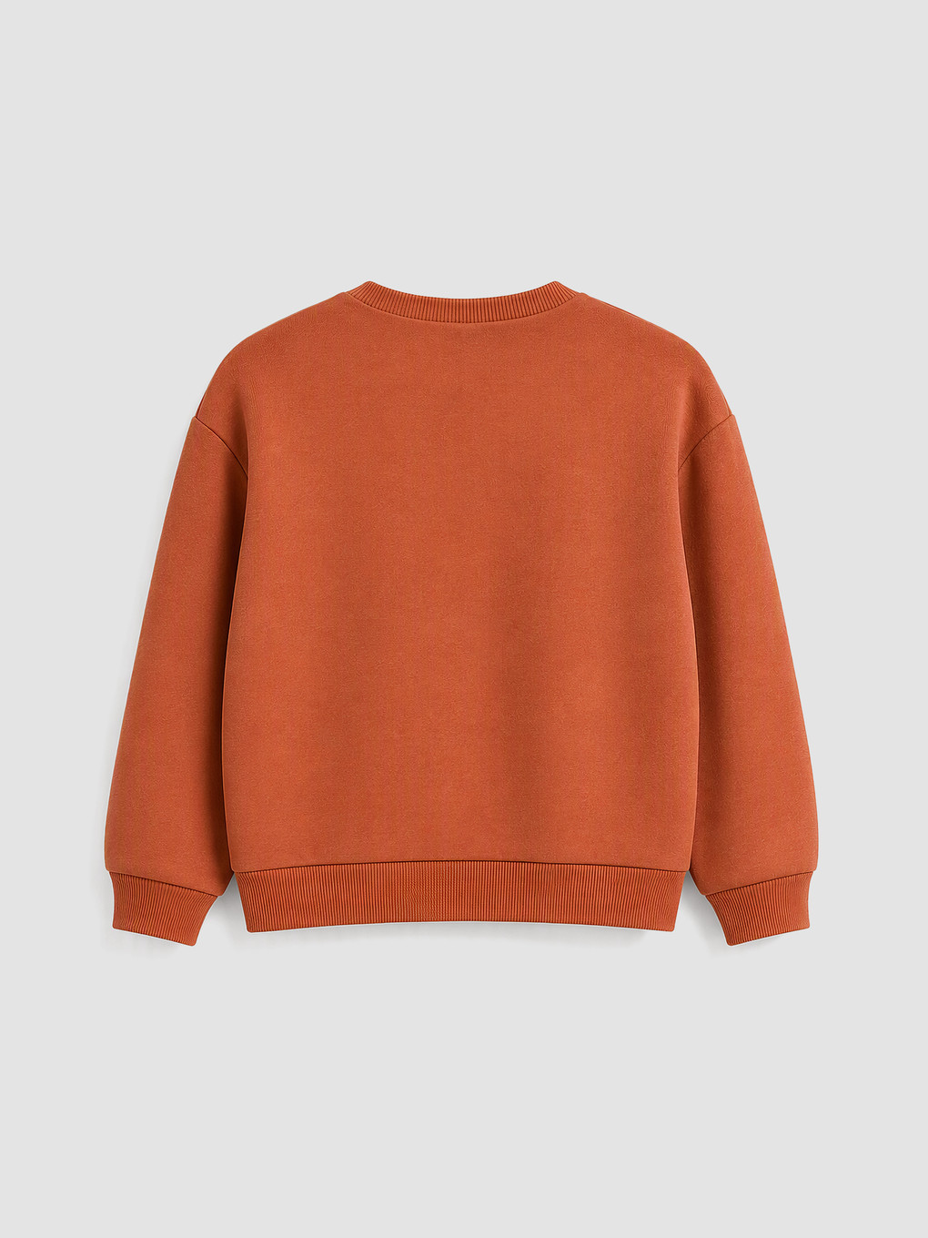 Boy Brown Sweatshirt-1