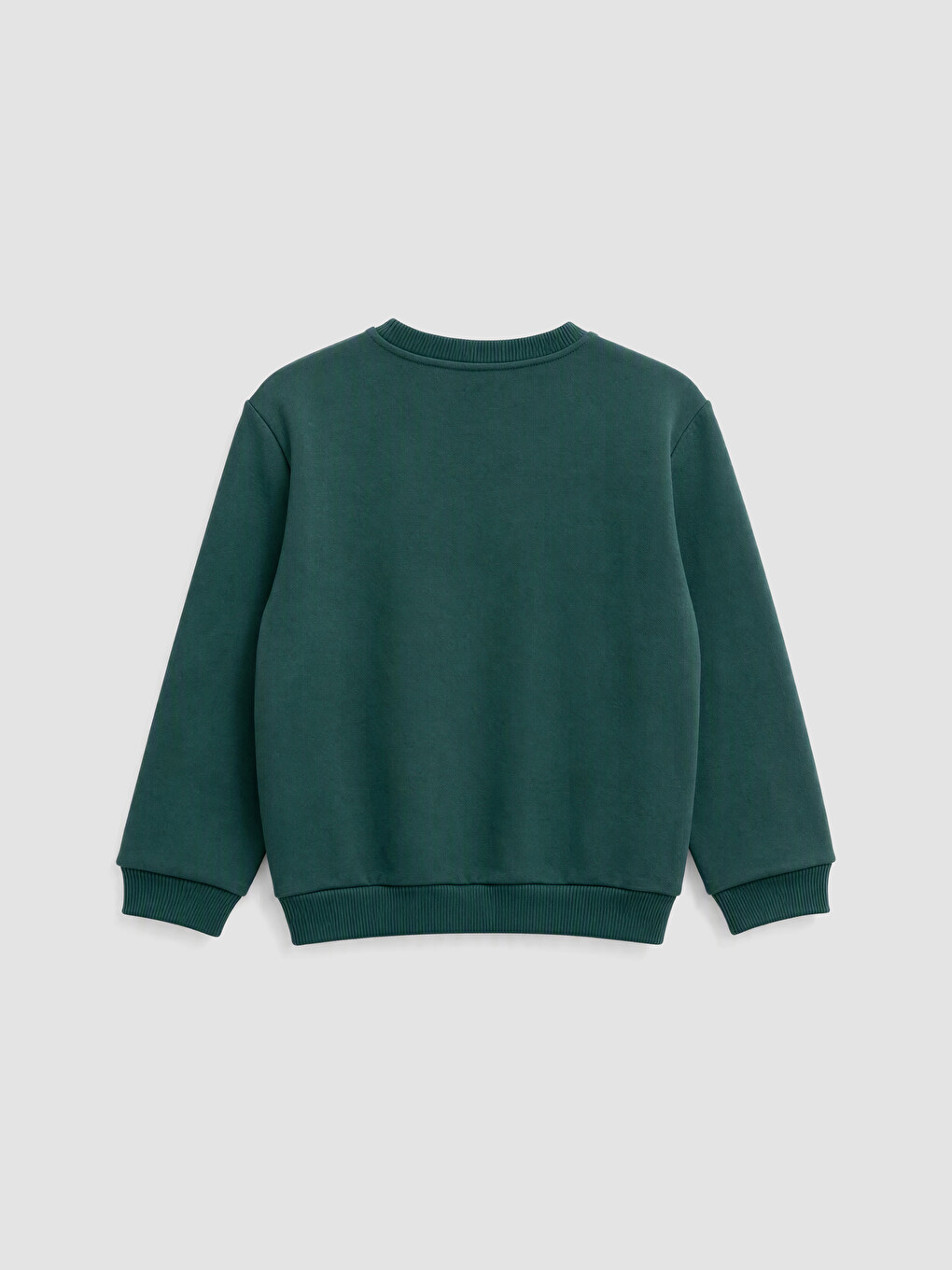 Printed Boys' Thick Sweatshirt-1