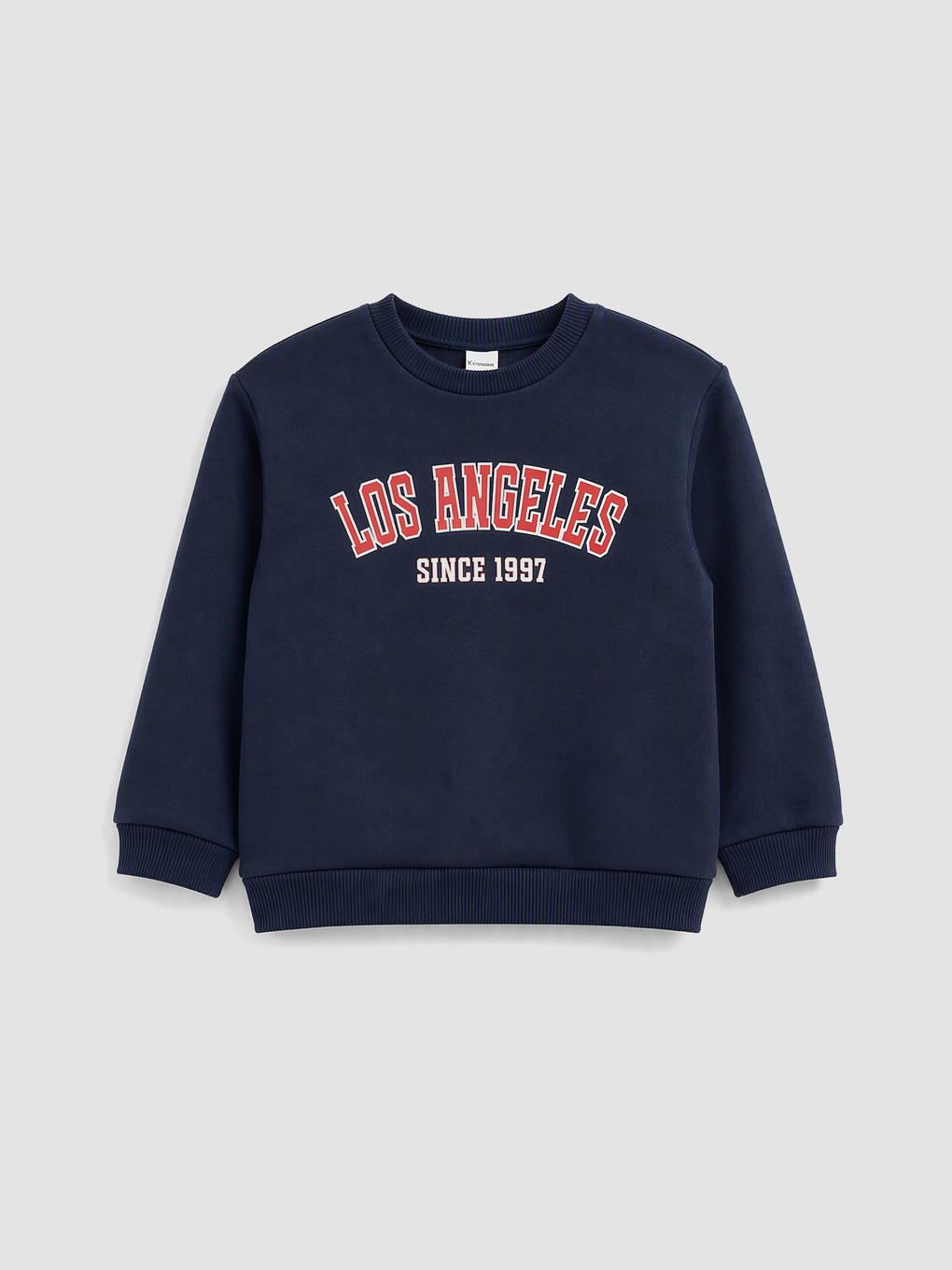 Printed Boys' Thick Sweatshirt