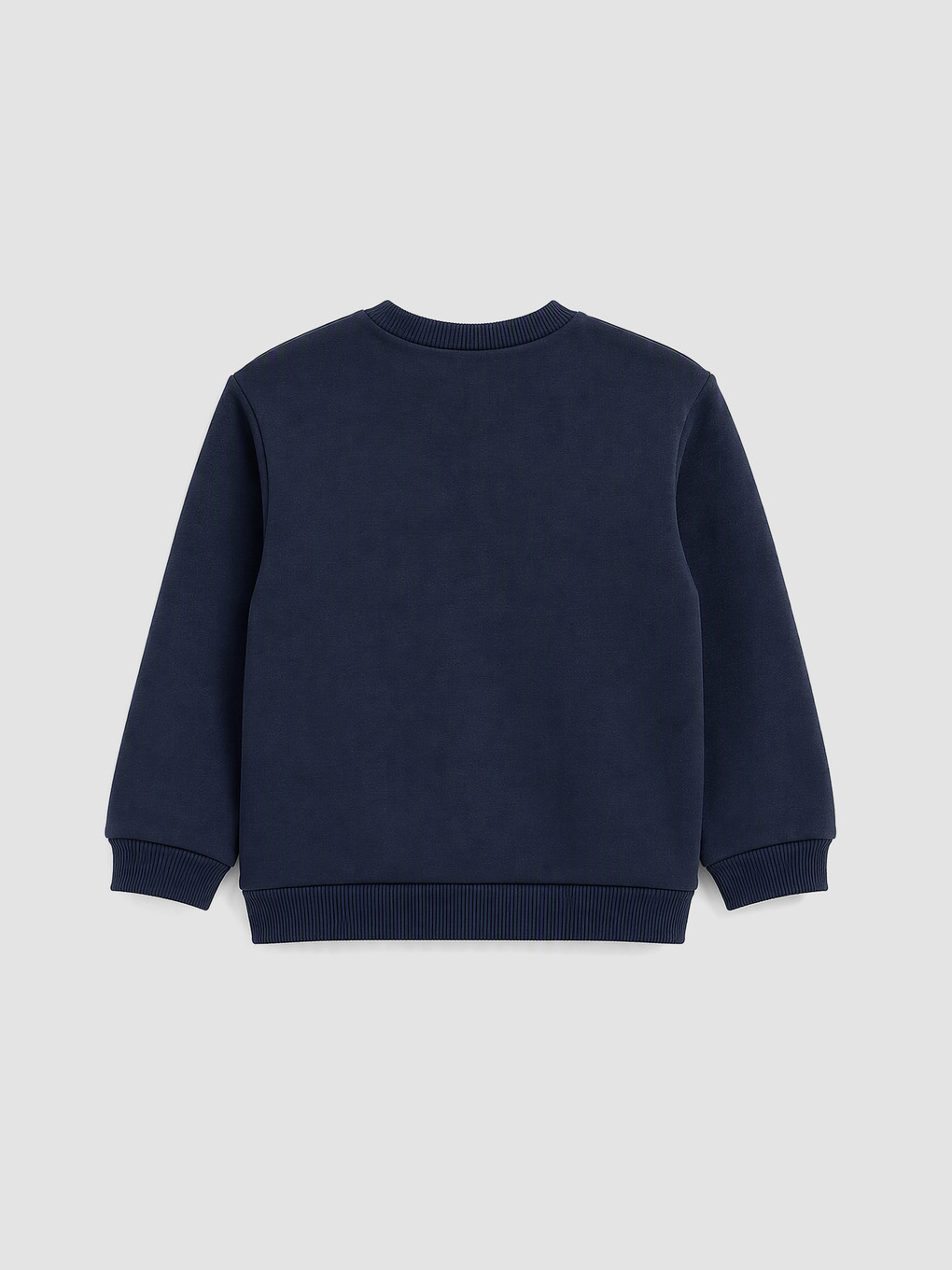 Printed Boys' Thick Sweatshirt-1