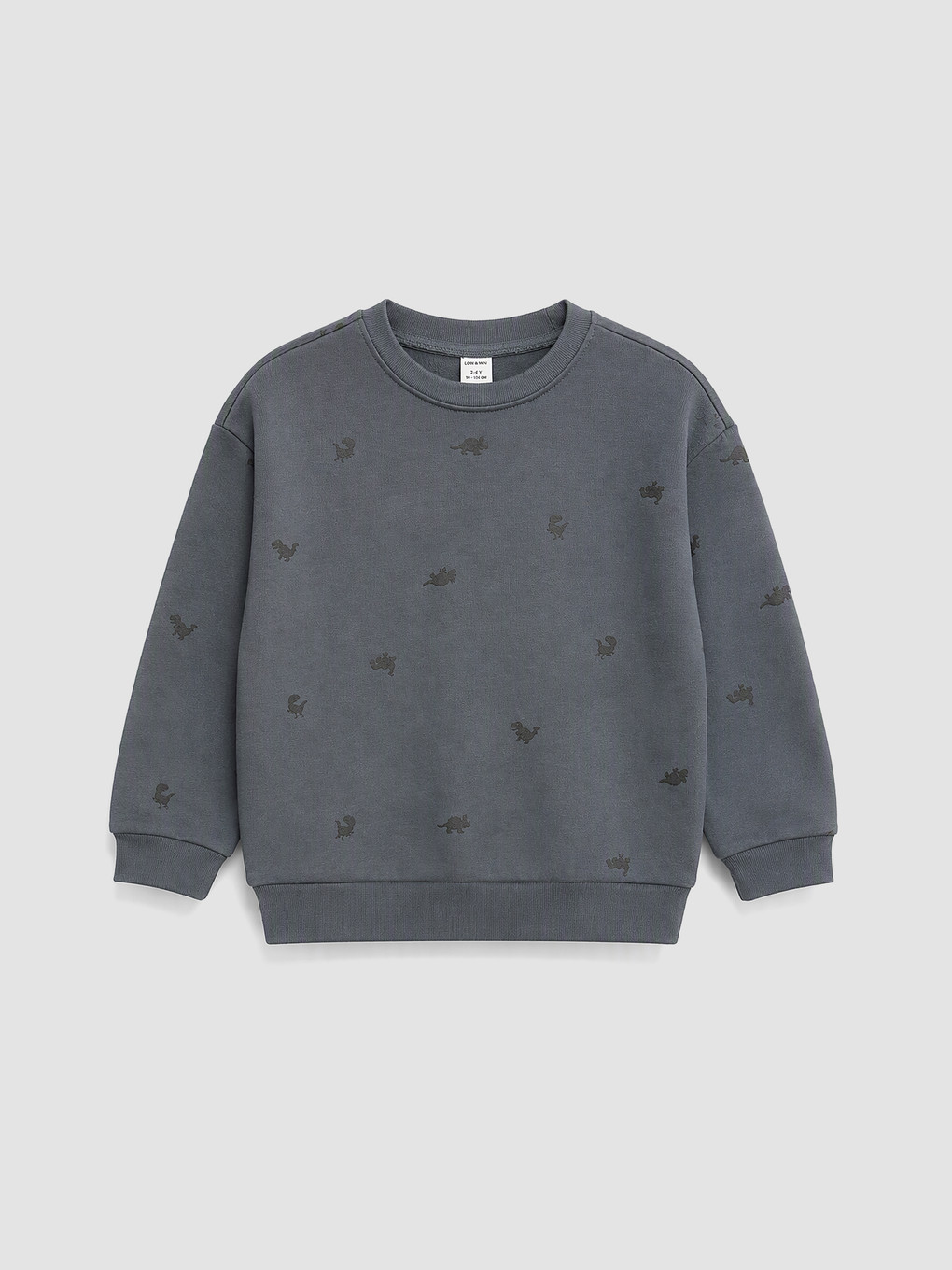 Printed Boys' Thick Sweatshirt