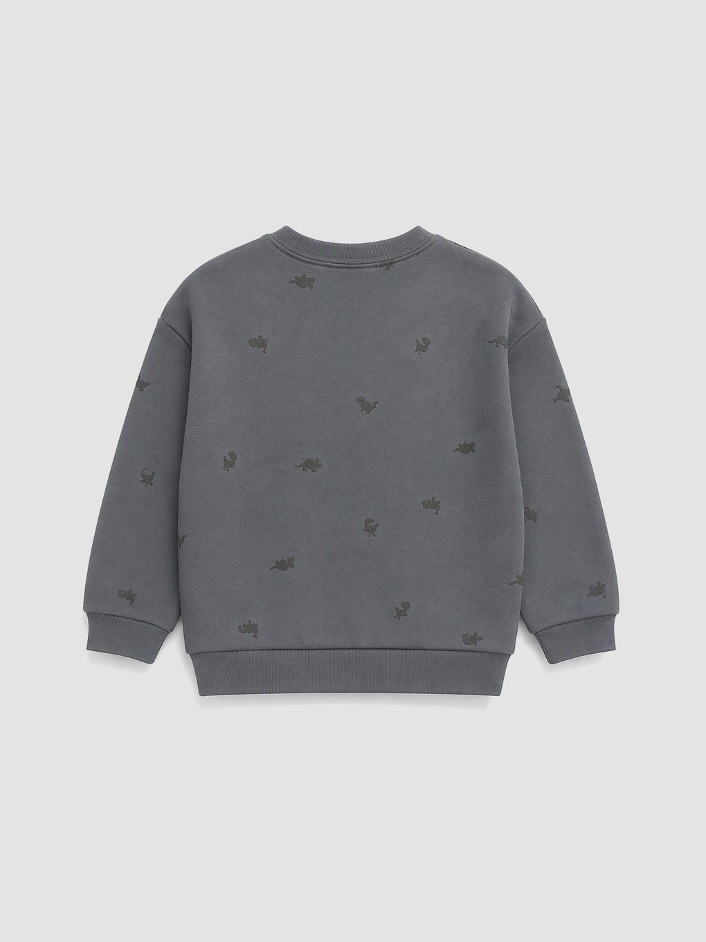 Printed Boys' Thick Sweatshirt-1