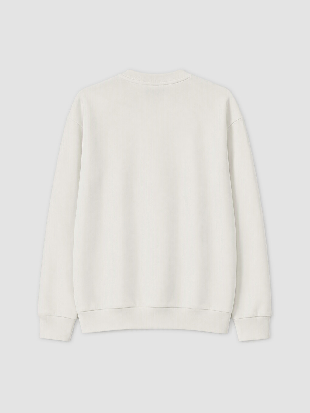 Crew Neck Printed Men's Sweatshirt-2