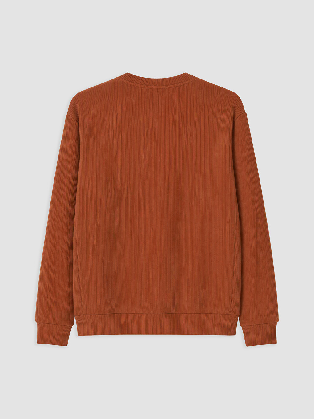 Kahverengi Bisiklet Yaka Erkek Sweatshirt-1