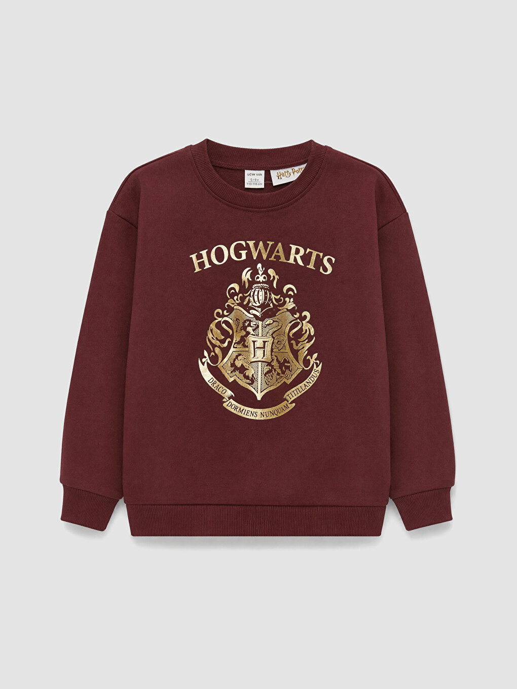 Harry Potter Printed Boys' Thick Sweatshirt