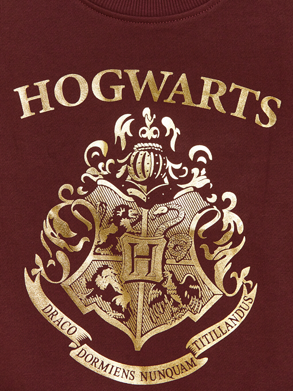 Harry Potter Printed Boys' Thick Sweatshirt-1