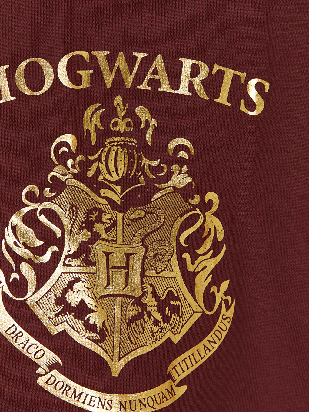 Harry Potter Printed Boys' Thick Sweatshirt-2