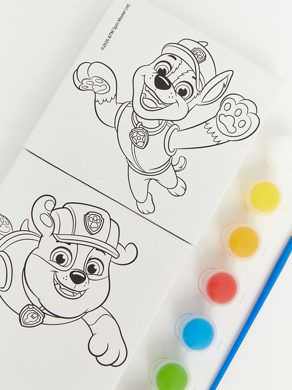 Paw Patrol Printed Boys' Painting Set-2