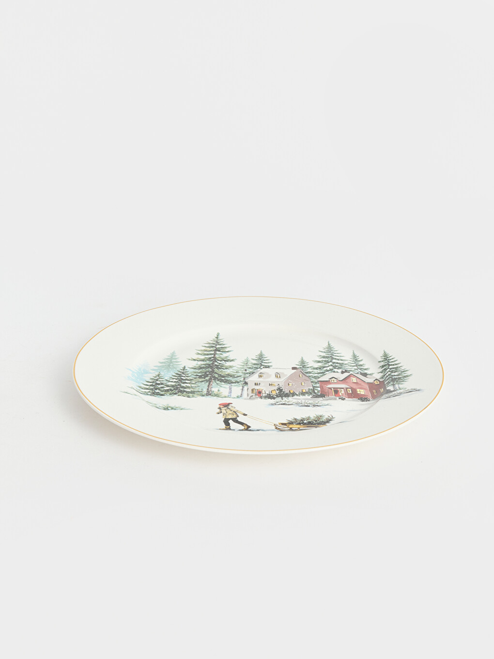 Printed Gilt Striped Platter-2