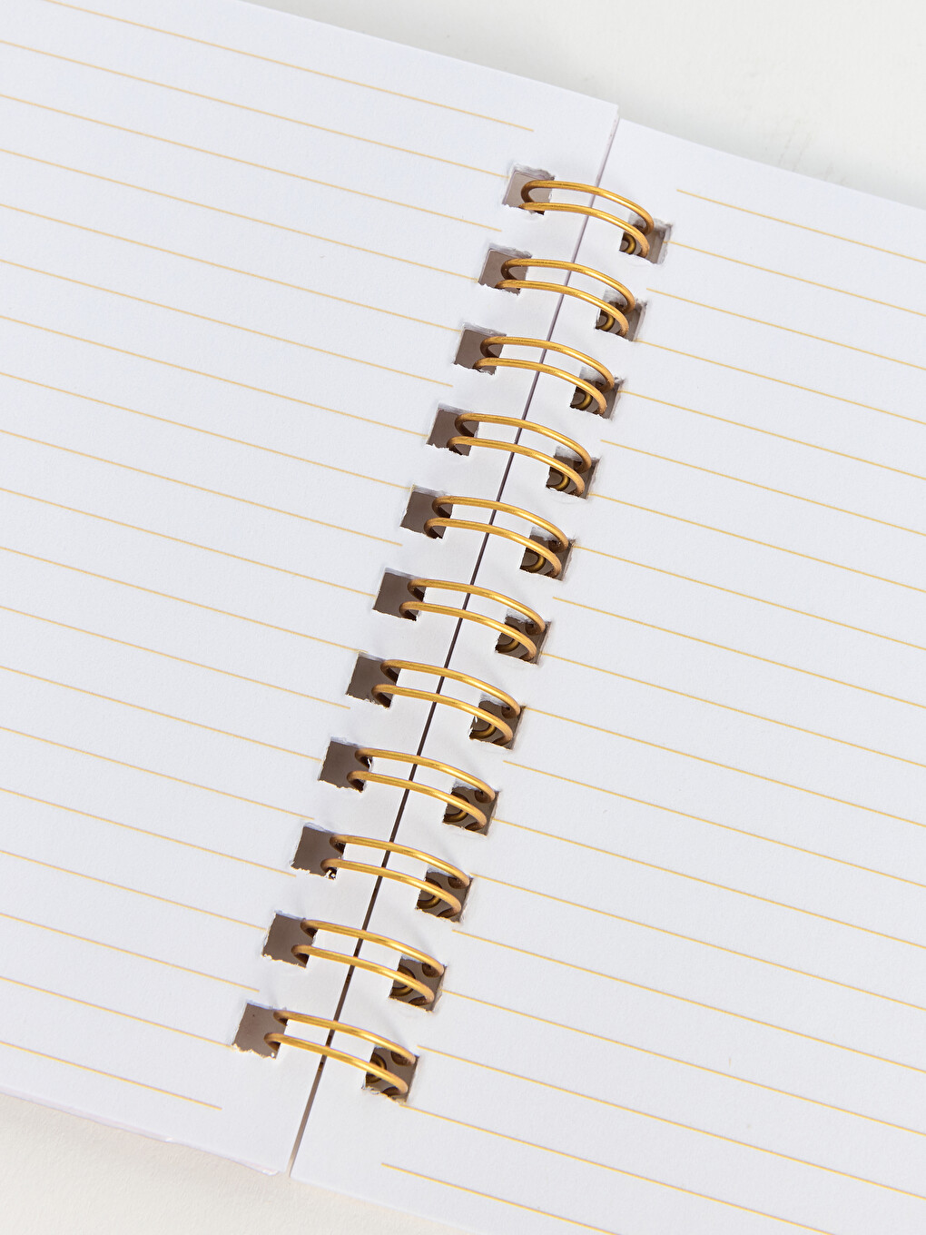 Cahier Mixte-2