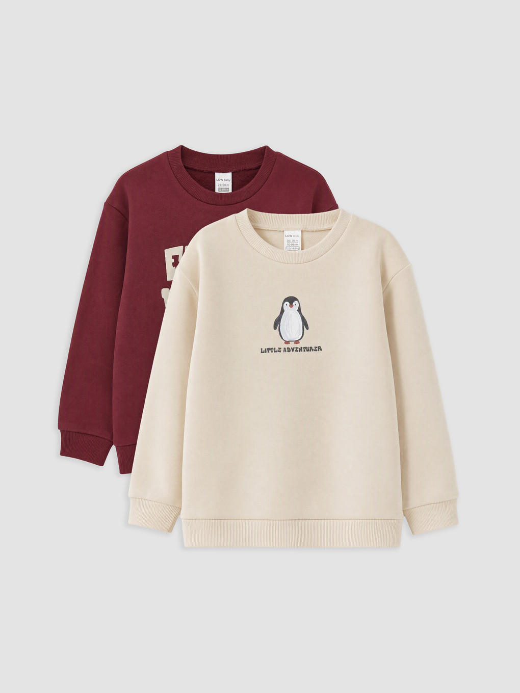 2 Pack Printed Baby Boys' Sweatshirt