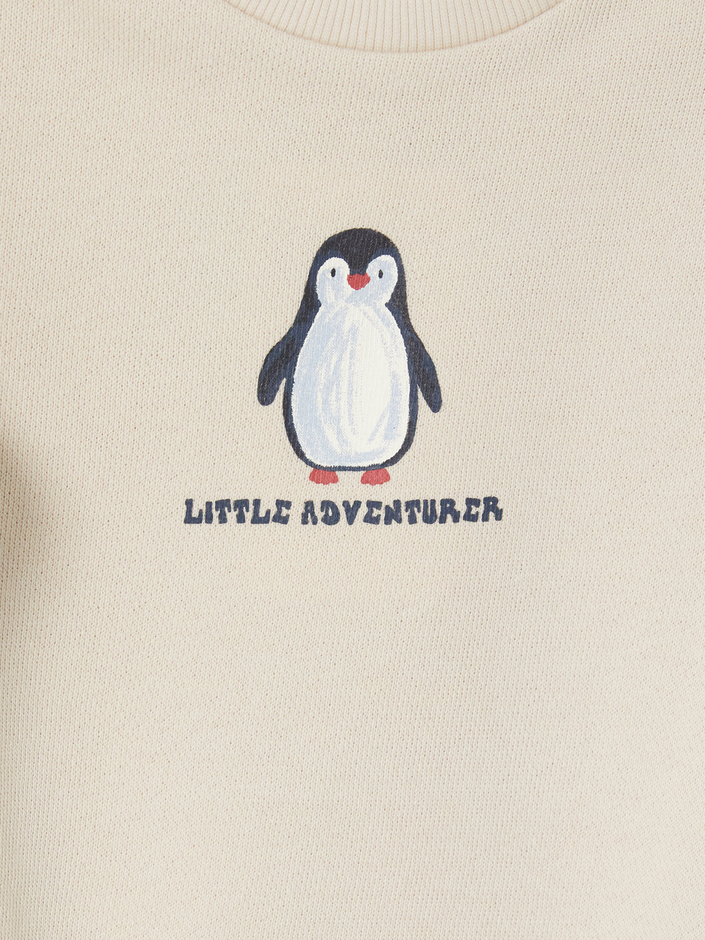 2 Pack Printed Baby Boys' Sweatshirt-4