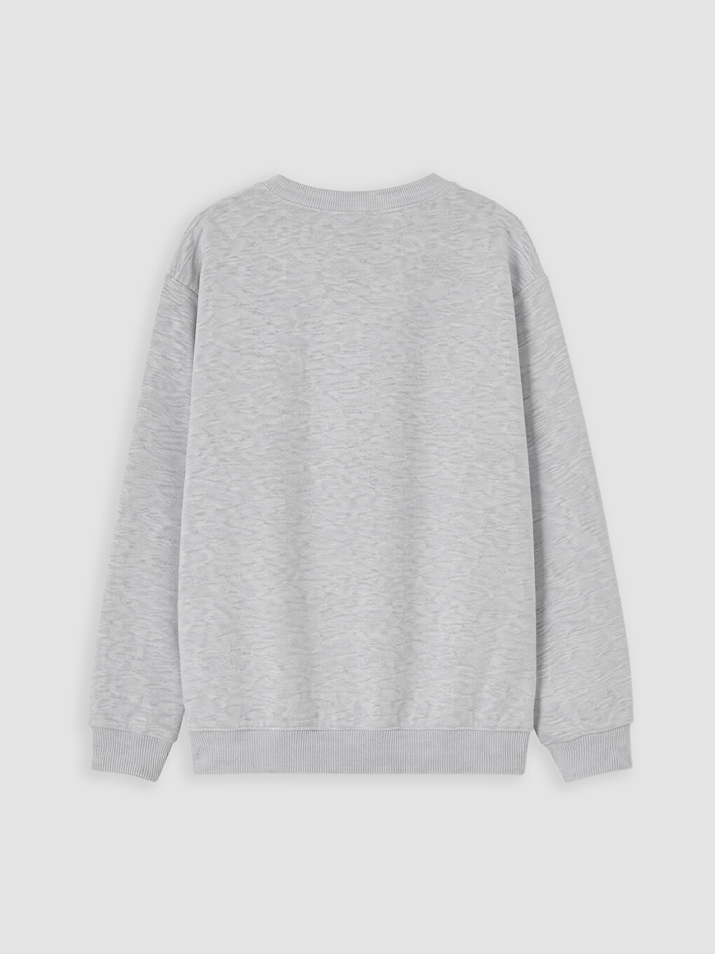 Crew Neck Printed Boys' Sweatshirt-2