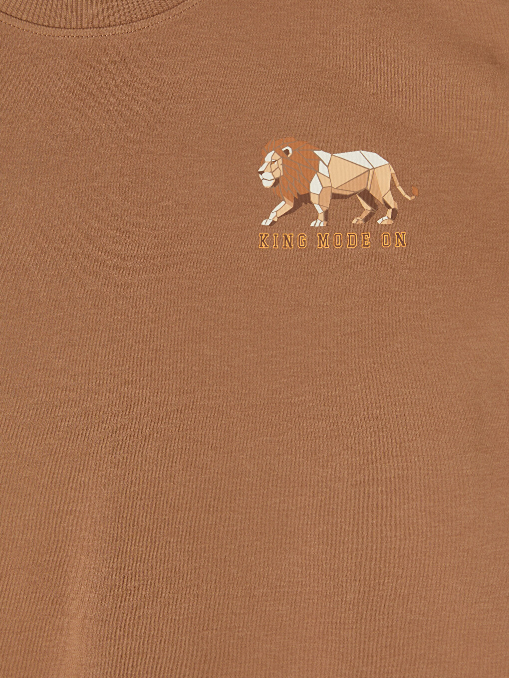 Crew Neck Printed Boys' T-shirt-1