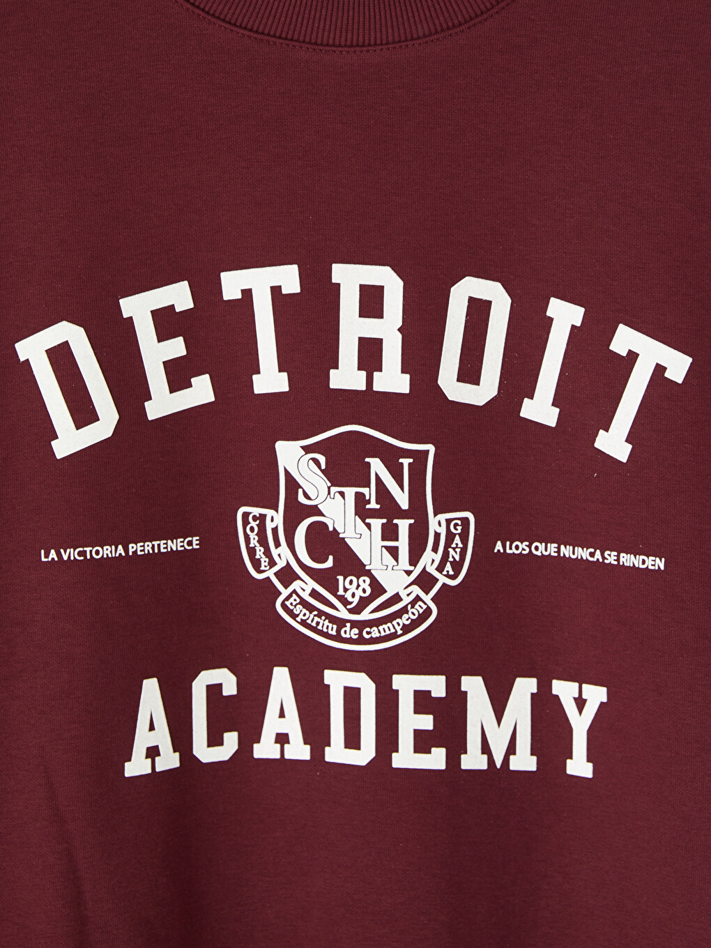 Bordo Bisiklet Yaka Detroit Baskılı Erkek Kalın Sweatshirt-6