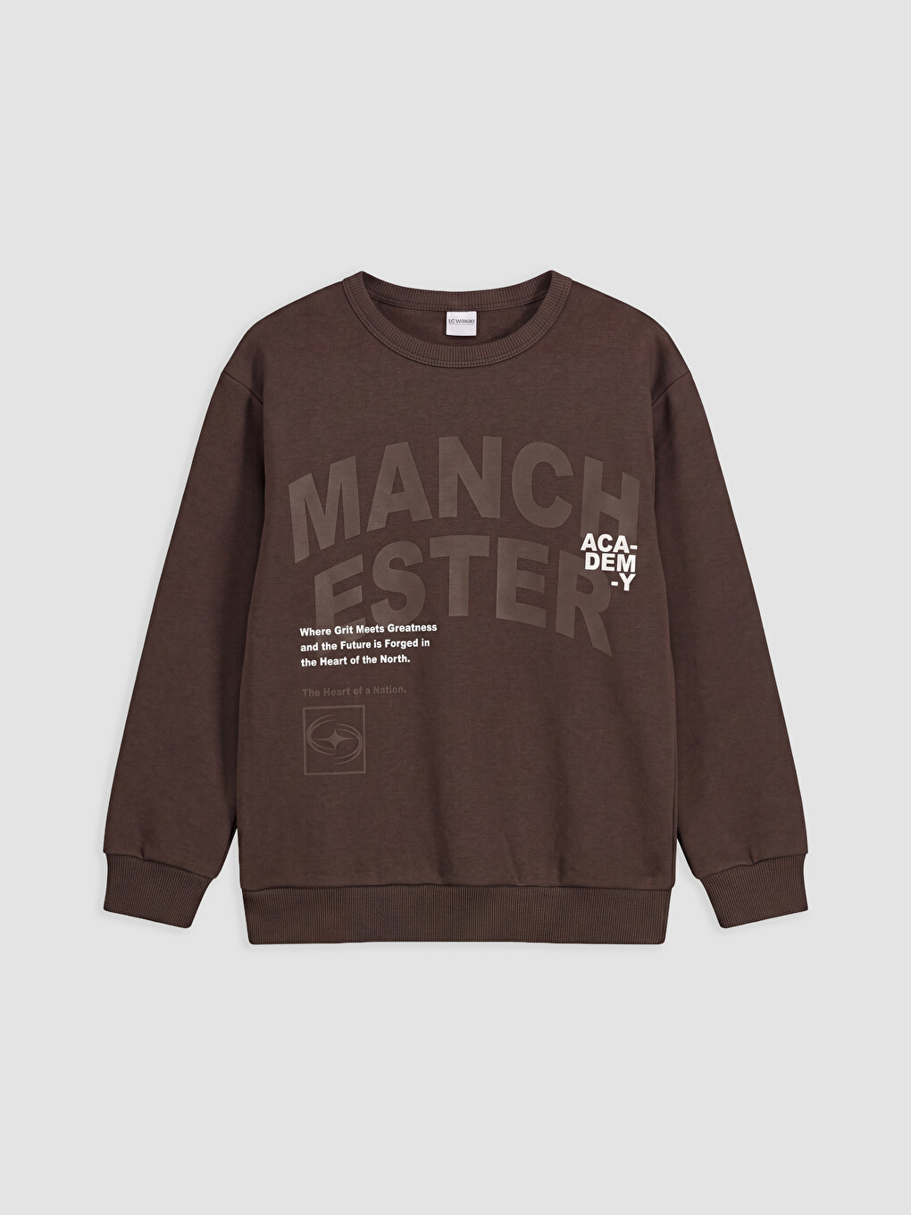Boy Brown Sweatshirt