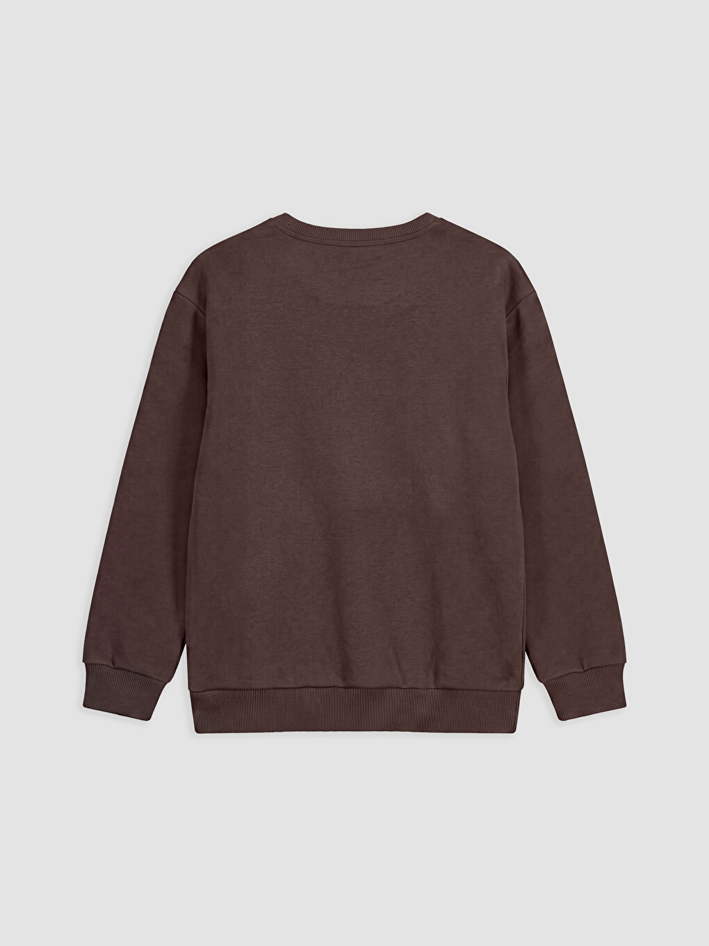 Boy Brown Sweatshirt-1