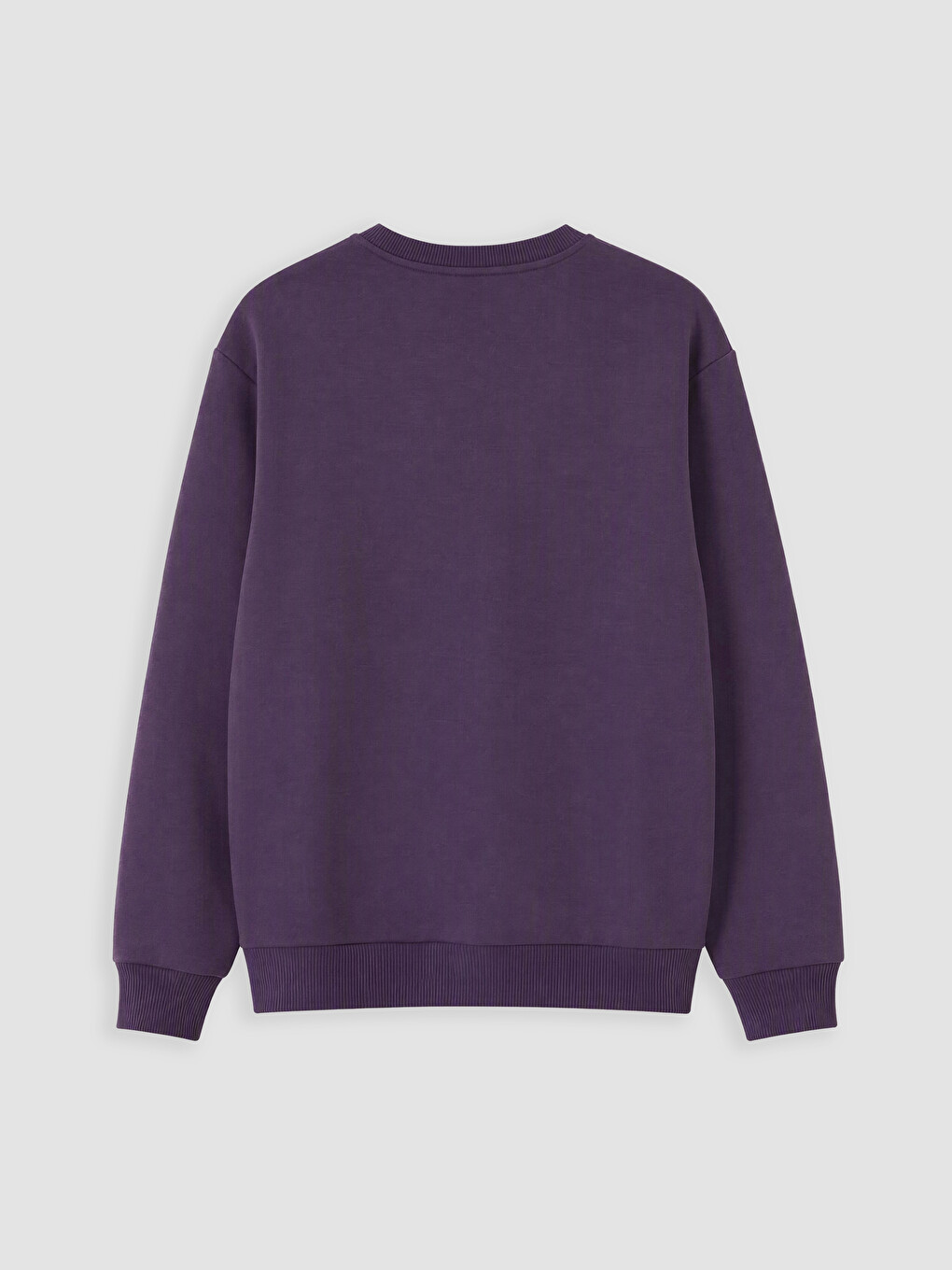 Crew Neck Men's Thick Sweatshirt-2
