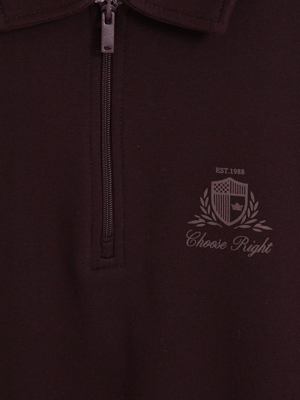 Mürdüm Polo Yaka Erkek Kalın Sweatshirt-6