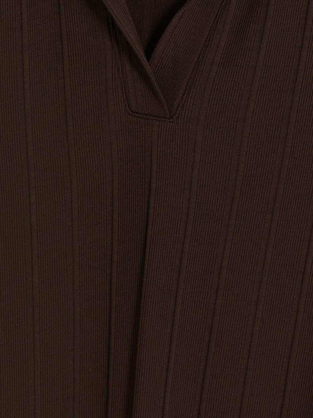 Woman Brown Dress-1