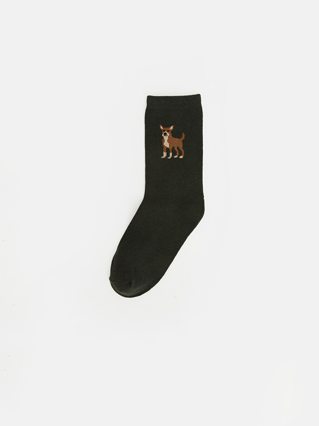 Dog Patterned Boys' Ankle Socks 5 Pack-3
