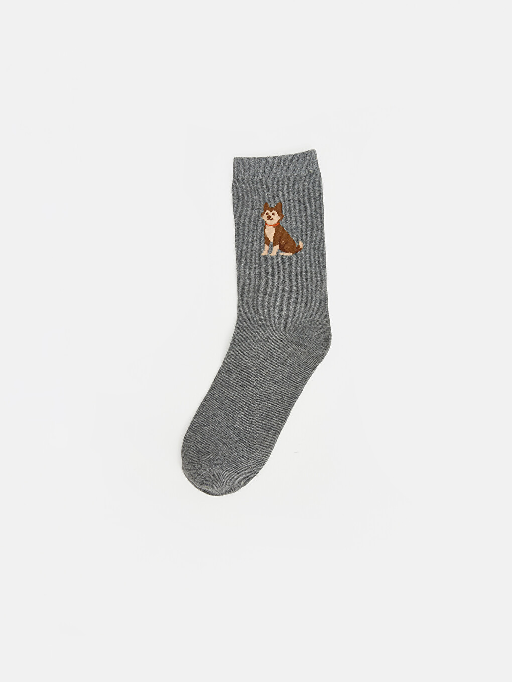 Dog Patterned Boys' Ankle Socks 5 Pack-5